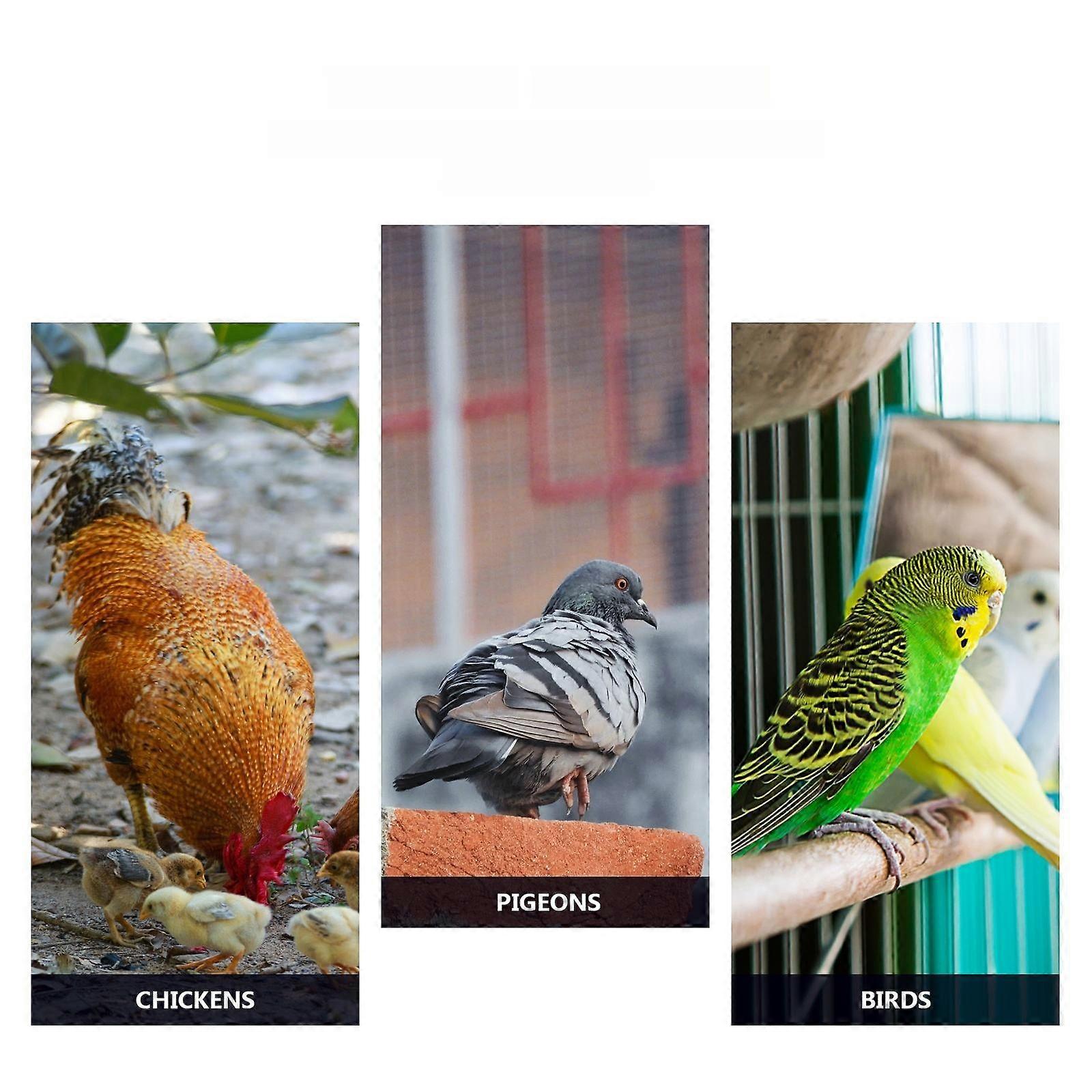 15PCS Automatic Drinking Bowl Poultry Breeding Special Drinking Bowl Adjustable Flow Drinking Bowl for Home Store Pigeon Chicken Use (Red)