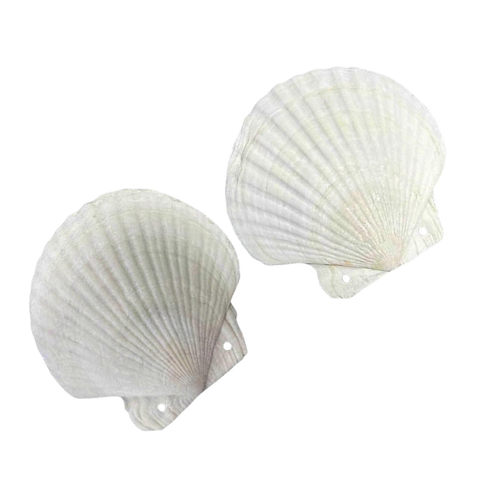 Loose Leaf Notebook Natural Shell Shape Binder Planner Journal Notepad for Creative Minds and Nature Styles Writing  Style C