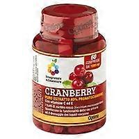 Blueberries with Vitamin C, E 60 tablets