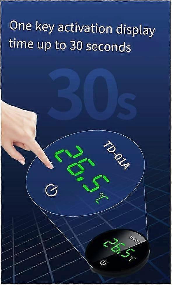 Precision External Aquarium Thermometer
