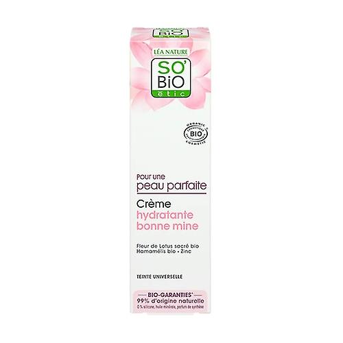 Illuminating moisturizing cream 40 ml of cream