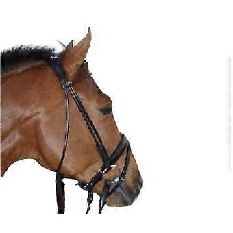 Torino Bridle for Horse