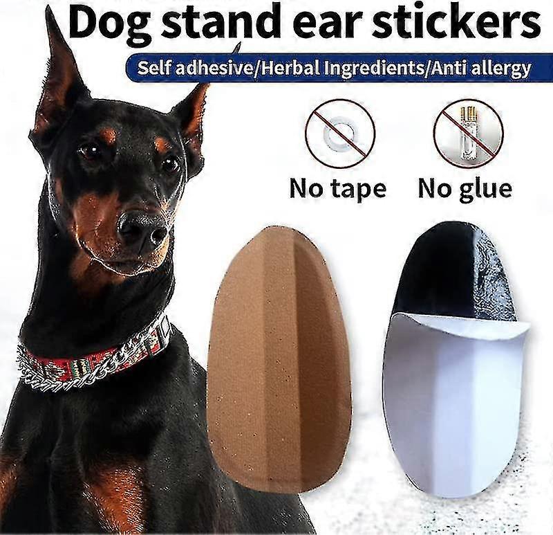 Dog Ear Stand Fixed Support Correction Erect Holder Patch For Doberman Pinscher Sheltie