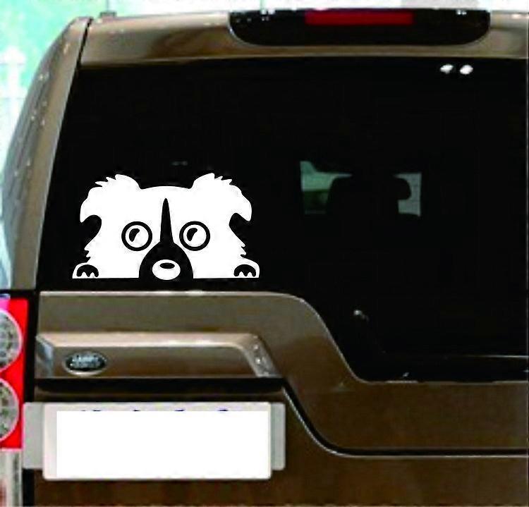 Cute Peeking Cats Vinyl Decal – For Car Window, Laptop, Fridge, Toolbox