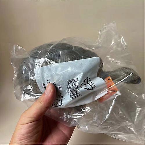 Genuine American Safars Large Miracle Simulation Tortoise Model Toy Collection Ornaments Figure Model Toys