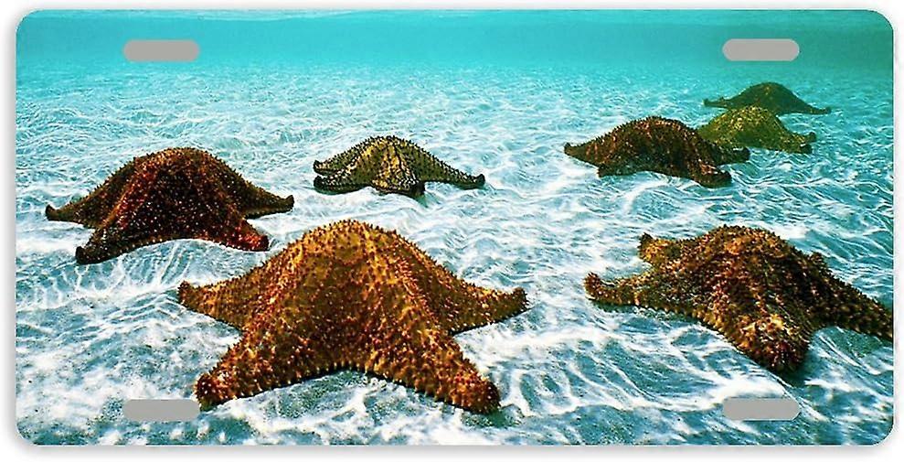 Tampa de Placa de Licença de Carro de Metal Starfish com 4 Furos 12 x 6 Polegadas