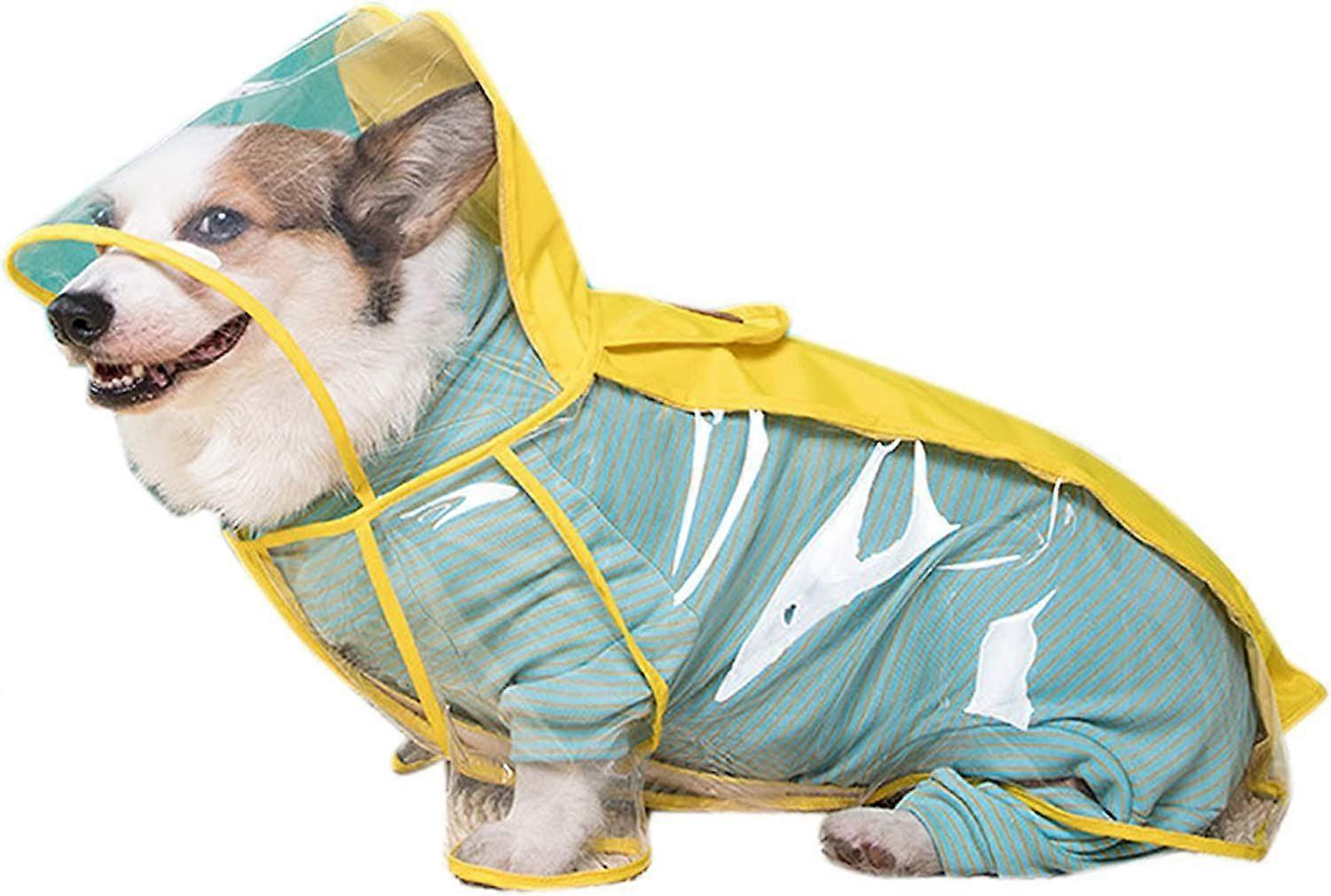 Imperméable transparent pour chien à capuchon
