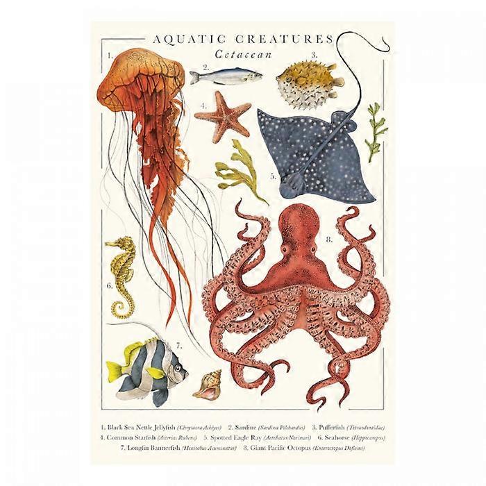 Tall Boy Prints Aquatic Creatures Print