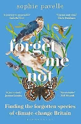 Forget Me Not