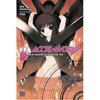Accel World Vol. 6 (Novel)