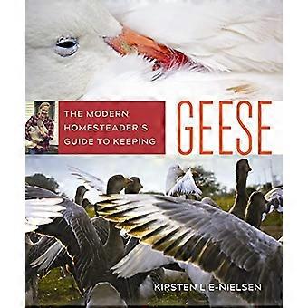 The Modern Homesteaders Guide to Keeping Geese