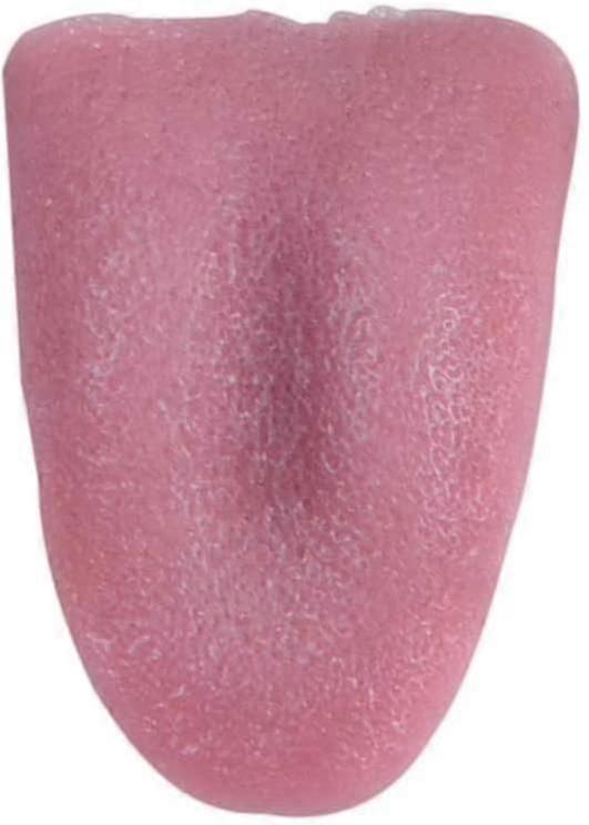 3pcs恐ろしい伸縮性のある舌現実的な魔法の舌特別機能3pcs恐ろしい伸縮性のある舌現実的な魔法の舌は特別に機能