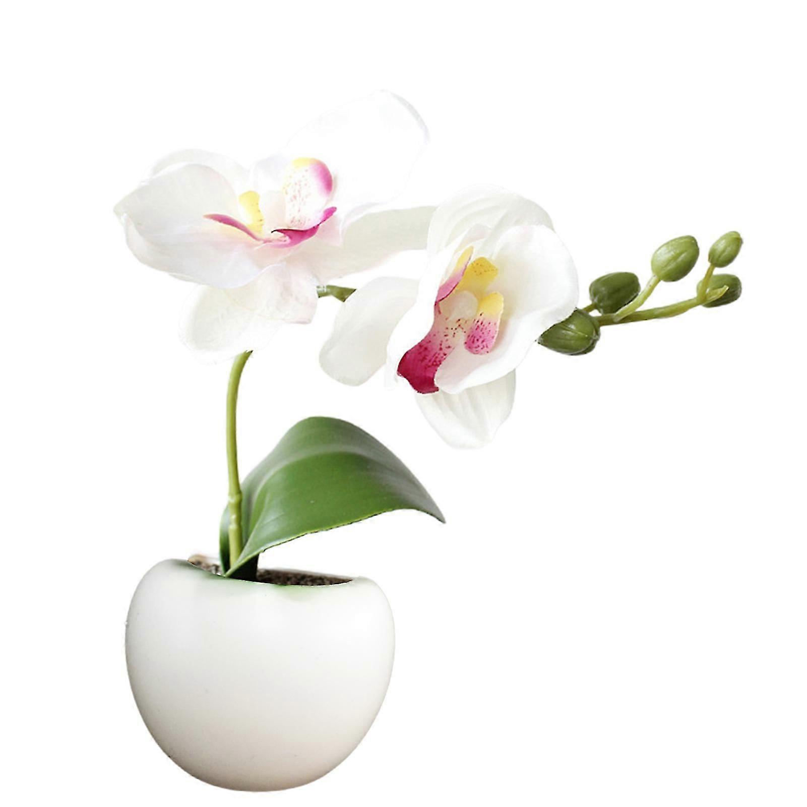 Succulent Shape Refrigerator Magnets Removable Plastic No Scratch Whiteboard Magnets Kitchen Decor