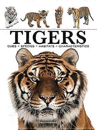 Tigres (mini-animaux)