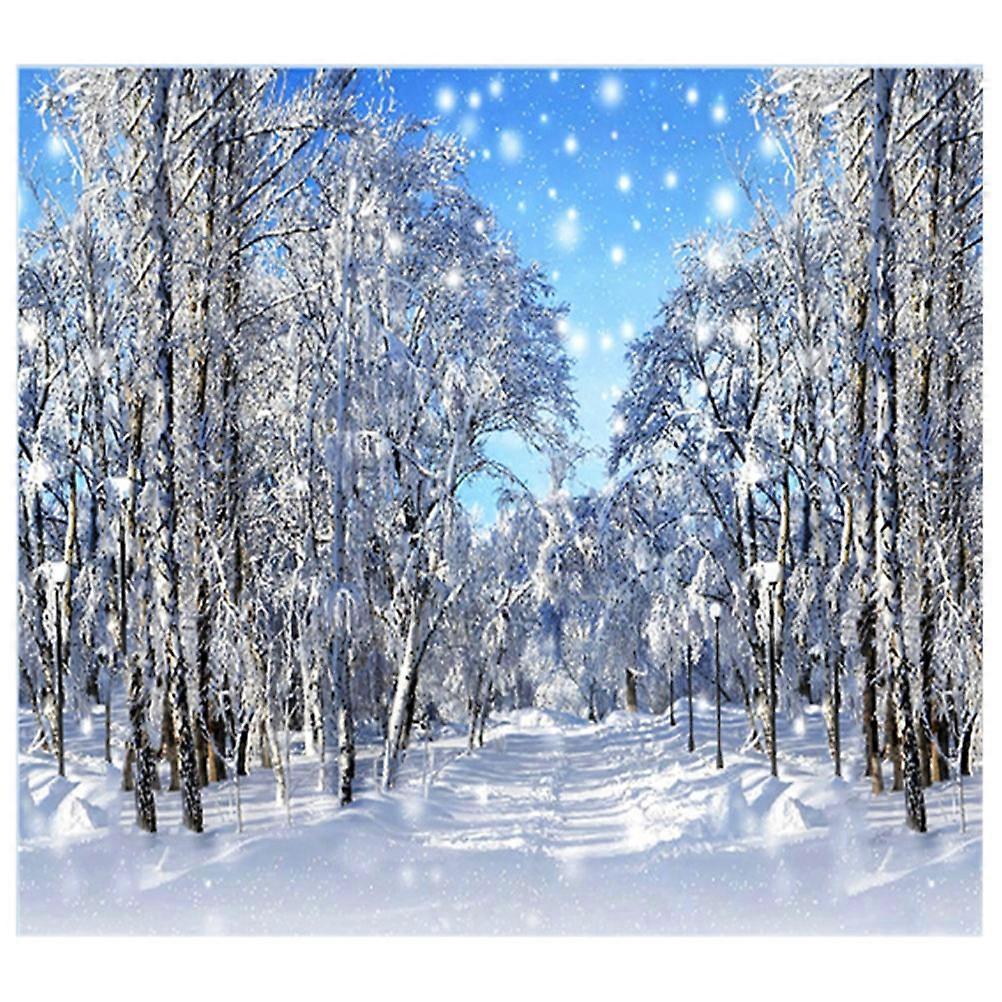 Christmas Tree Backdrop Winter Forest Background for Holiday Use