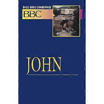 John - Abingdon Press - Paperback - en Book