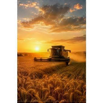 Golden Harvest Combine Harvester at Sunset Farming jigsaw puzzle SIO1668