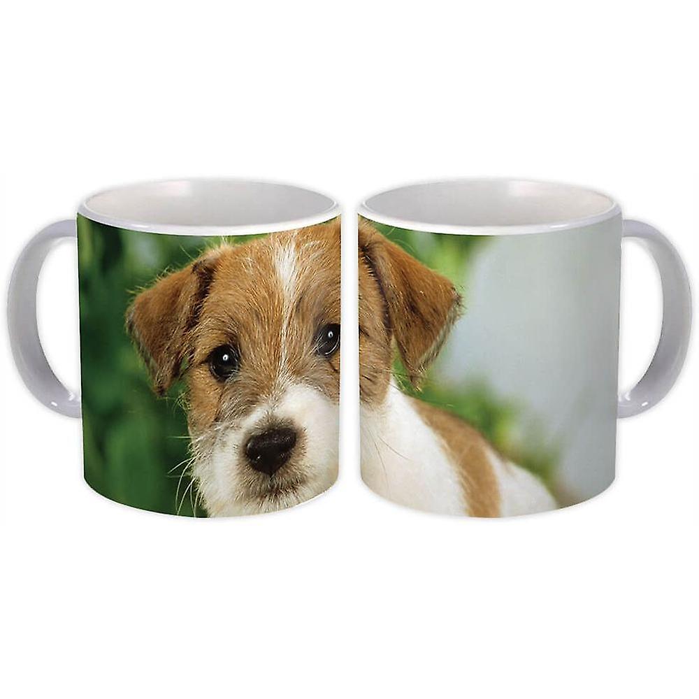 Gift Mug: Russell Terrier Pet