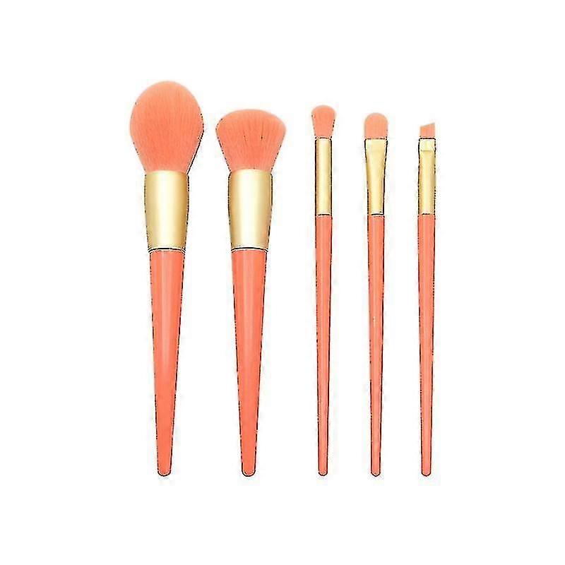 5pcs Cosmetic Brushes Set