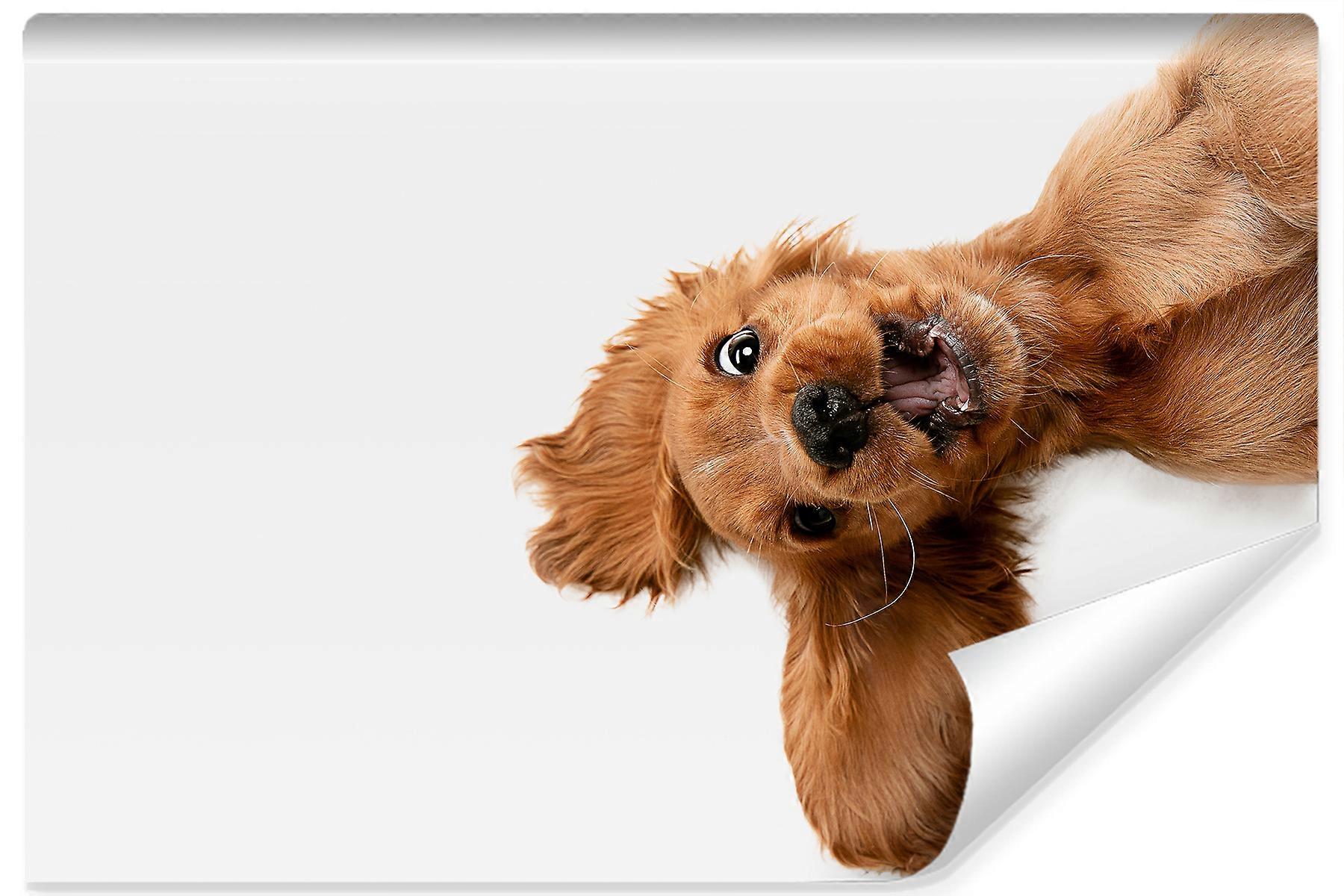 Fotomural infantil lindo cachorro Decoración de pared con efecto 3D