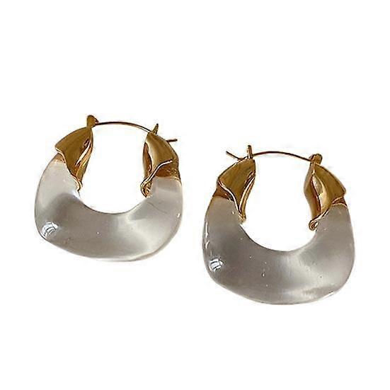 1 Pair Resin Earrings All-match Decorative Glossy Retro Stud Hook Hoop Earrings
