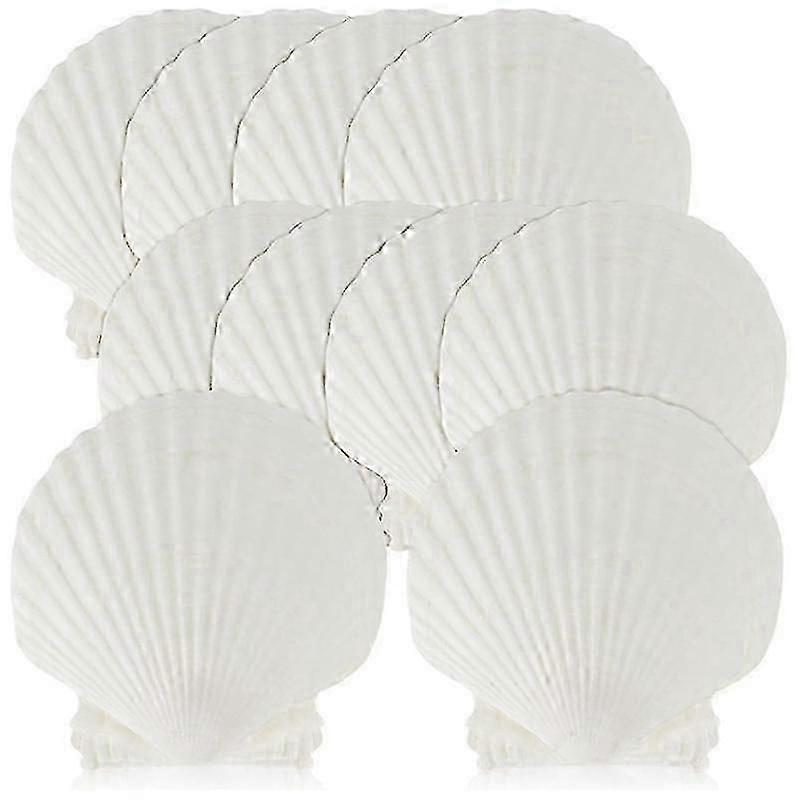 15 PCS Natural Sea Shell Large White, 4-4.7 Inch Scallop Shells for DIY Craft, Serving Food, Baking