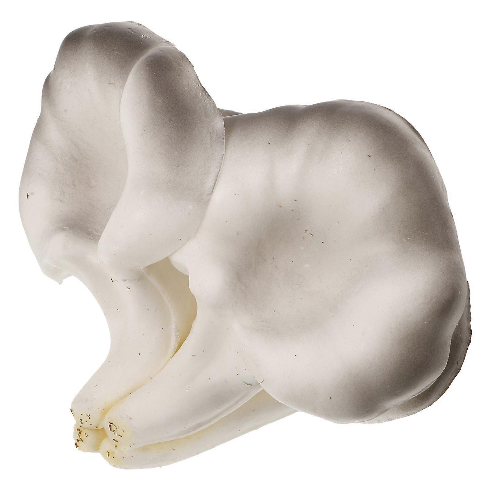 Multi Color Oyster Mushroom Decor 5Pcs Ornament for Home and Party Decoration