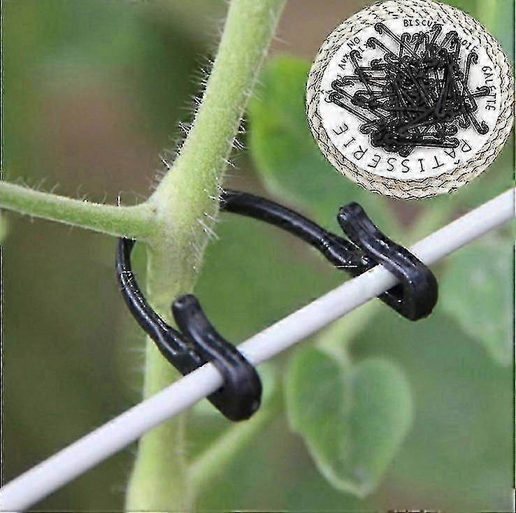 100個のつるタイタイバックルフック植物野菜グラフトクリップ農業