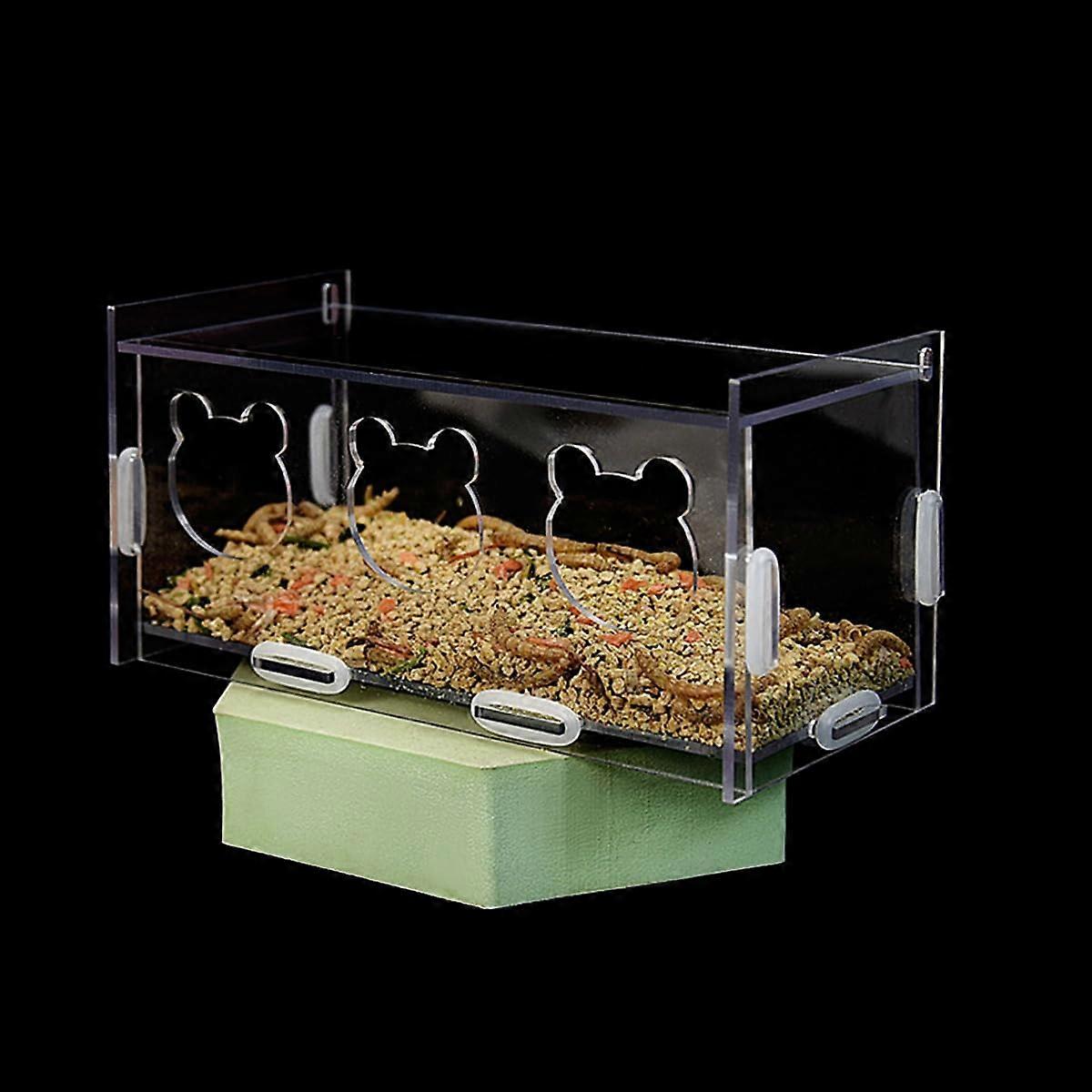 Acrylic Three Hole Automatic Filling Transparent Feeder Box For Button Quail Quail Breeding Equipment Acrylic Bird Feeder