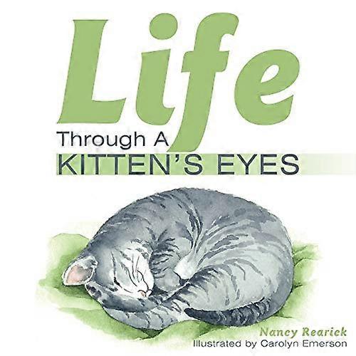 Life Through a Kitten's Eyes