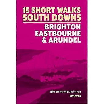 Korte wandelingen in de South Downs: Brighton, Eastbourne en Arundel