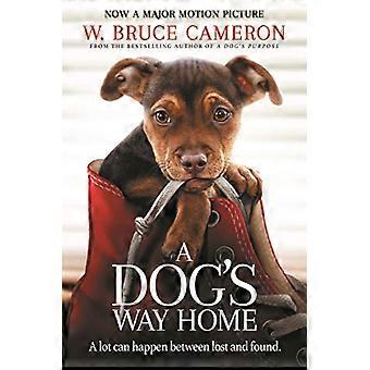 A Dogs Way Home The Heartwarming Story of the Special Bond Between Man and Dog