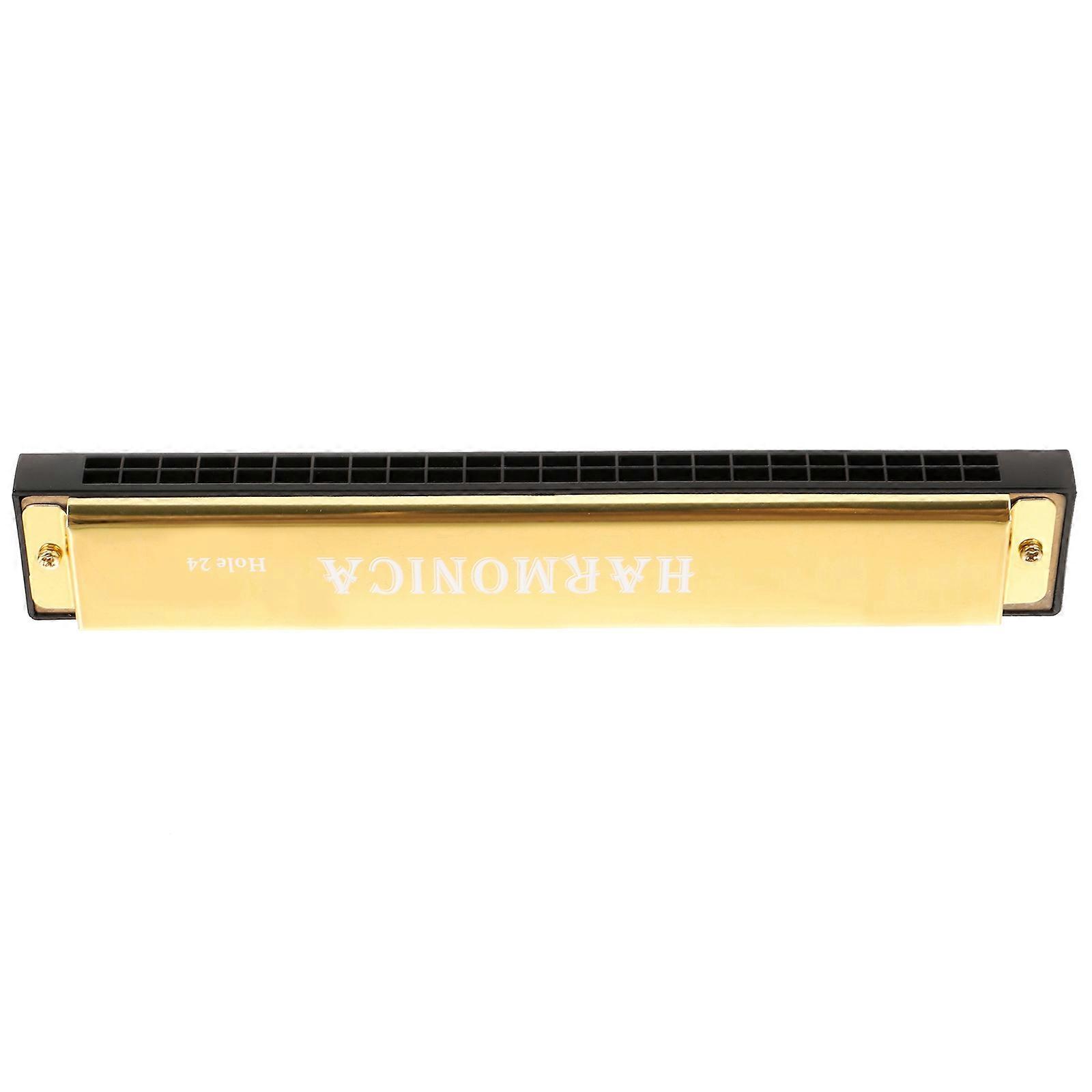 Kids Harmonica Beginner Harmonica 24 Holes Harmonica Portable Harmonica Adult Harmonica