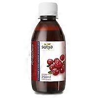 Cranberry Concentrate 250 ml