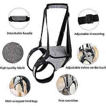 Dog Support Harness for Back Legs Large Dog Harness with Lift Handle Adjustable Puppy Harness for Pain Relief Rehabilitation Surgeries - XL