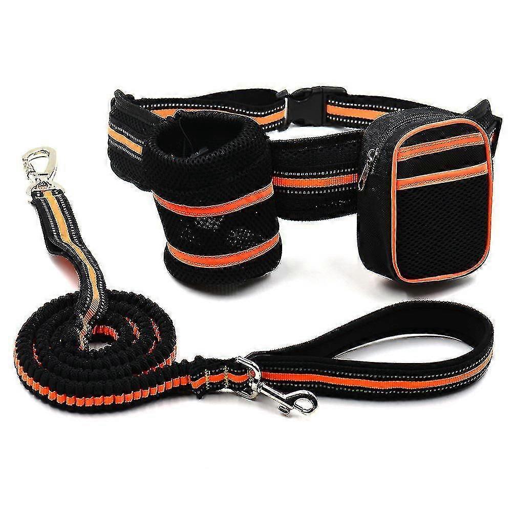 reflective pet traction set