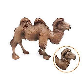 Tiermodellspielzeug, Miniatur realistische Wissenschaft Kunststoff Tier Kamel Modell Puppe simuliertes Kamel Tier pädagogisches Modell Spielzeug für Alter 3+, 1 Stück