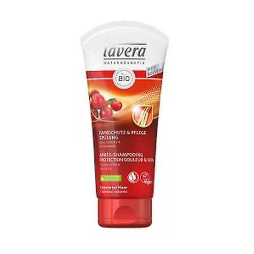 Color Protection & Care Shampoo 200 ml
