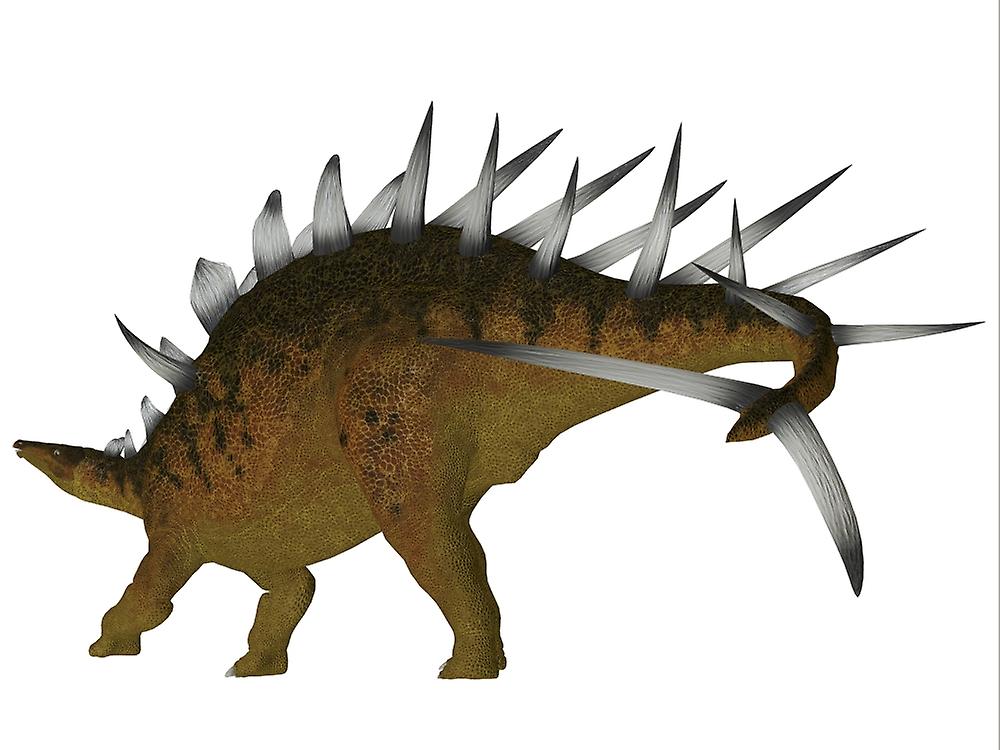 Kentrosaurus dinosaur. Poster