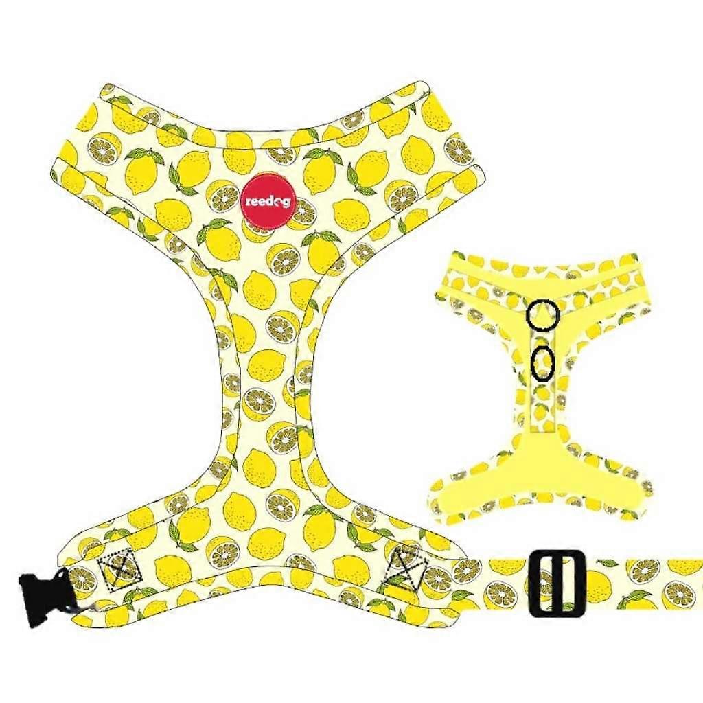Reedog Lemon Dog Harness