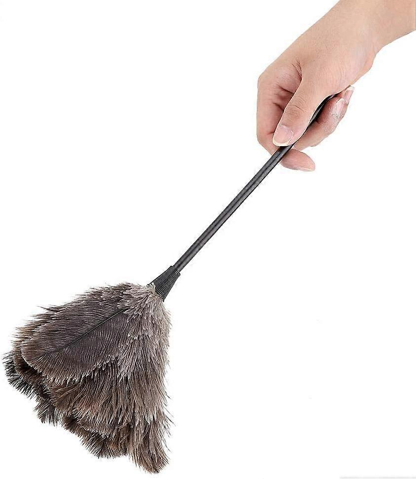 Struts fjær duster, mini håndlaget vaskbar gjenbrukbar struts fjær duster børste, 48cm