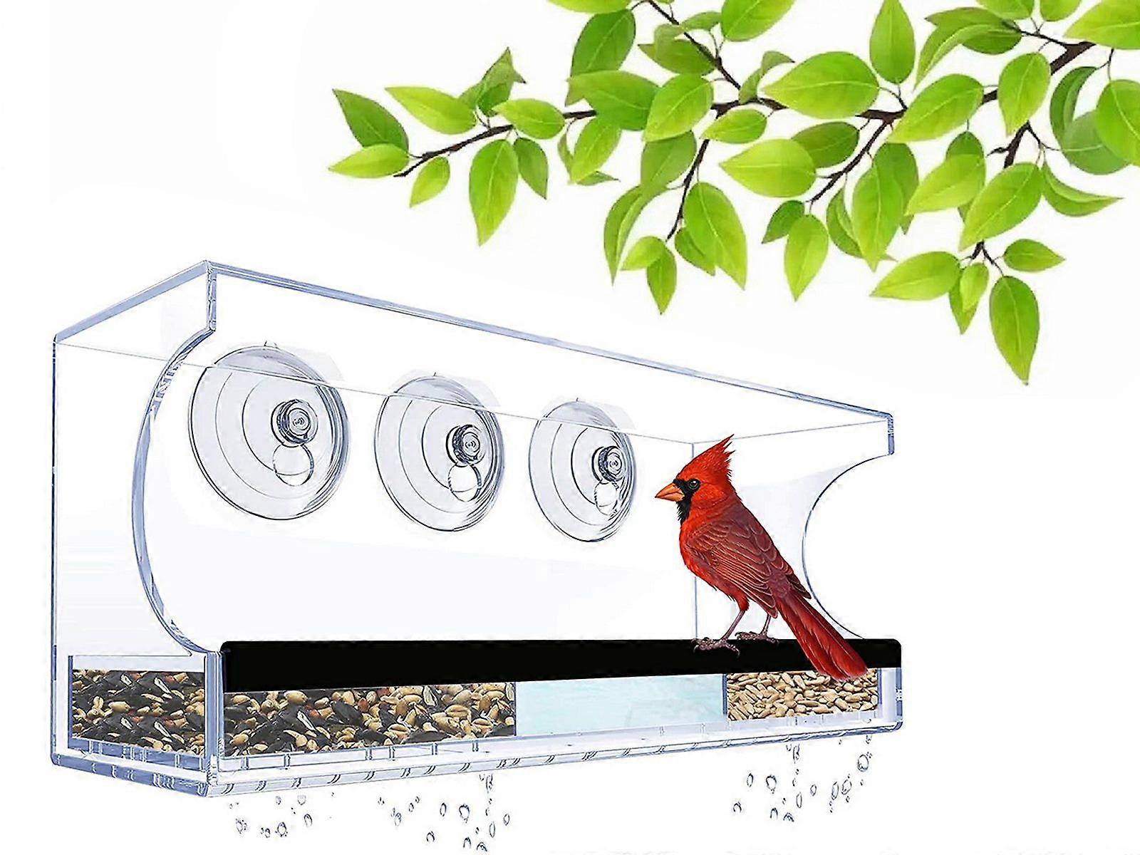 Acrylic Transparent Window Bird Feeder with 3 Suction Cups