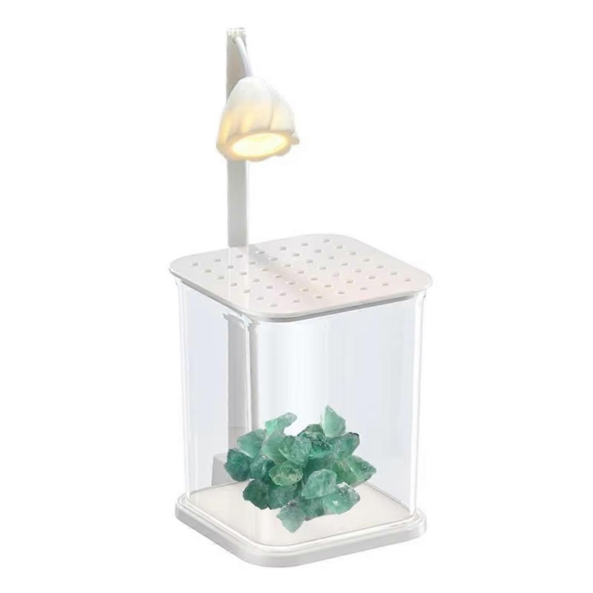 Landscaped Glass Fish Tank Detachable Landscaped Glass Tank with Crystal Rectangular Aquarium Tank