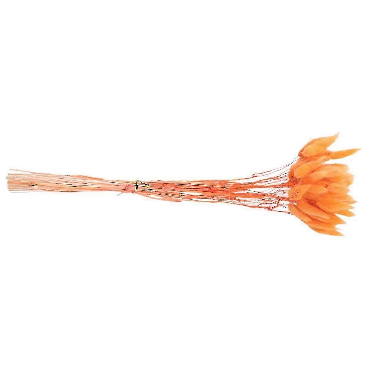 60Pcs Automne Fleurs Séchées Lapin Fleurs Séchées Lagurus Ovatus Lapin Queue Herbe pour Séché Floral(Orange) js