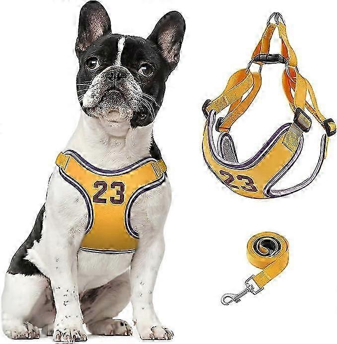 犬用ハーネスとリードセット、ペットベストハーネスの調整可能なステップソフトイージーウォーク、小型中型犬用のチョック子犬ハーネスなし
