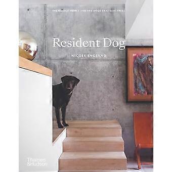 Resident Hund: Incredible Homes og hunde, der bor der