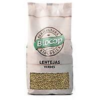 green lentil 500 g