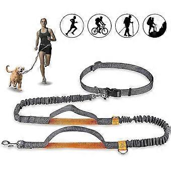 HJyang Hands Free Dog Leash, Adjustable Elastic Jogging Leash With Reflective Stitching For Dogs Up To 110 Kg KBK