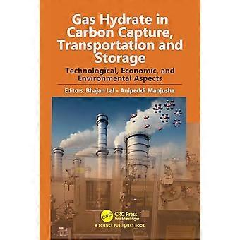 Gas Hydrate in Carbon Capture Transportation and Storage Technological Economic and Environmental Aspects