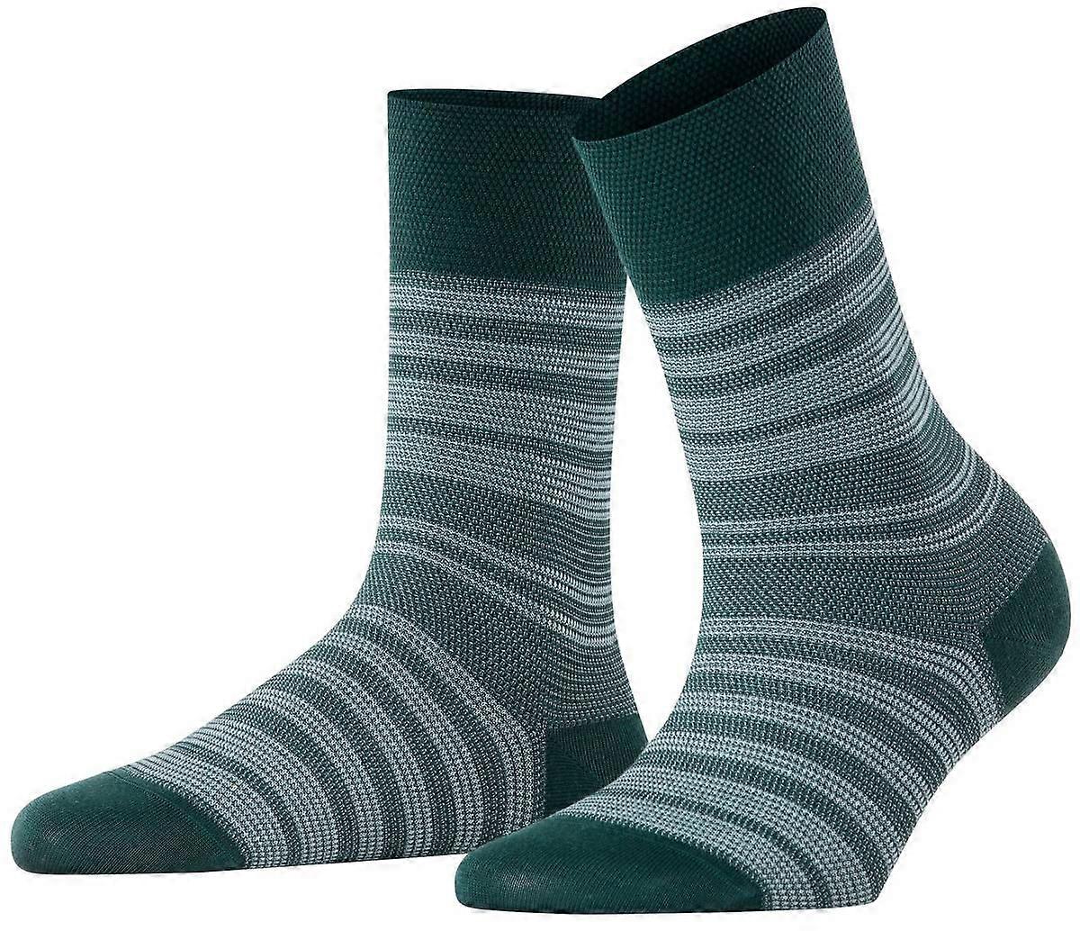 Falke Sunset Stripe Socks - Forest Green